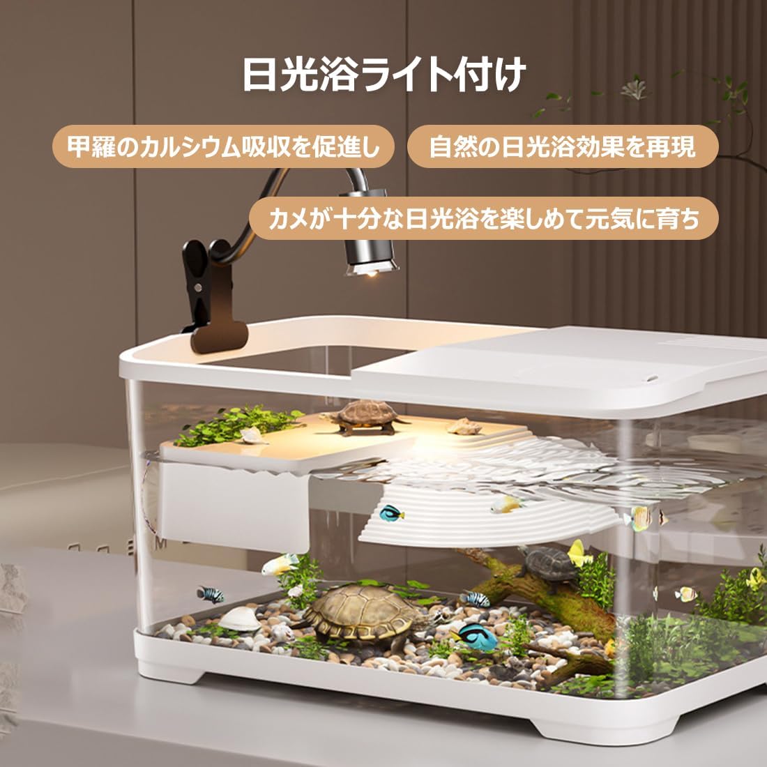 Amazon | AIYOI 水槽 亀 亀水槽 カメ 飼育ケース 60cm【沐浴機能付き